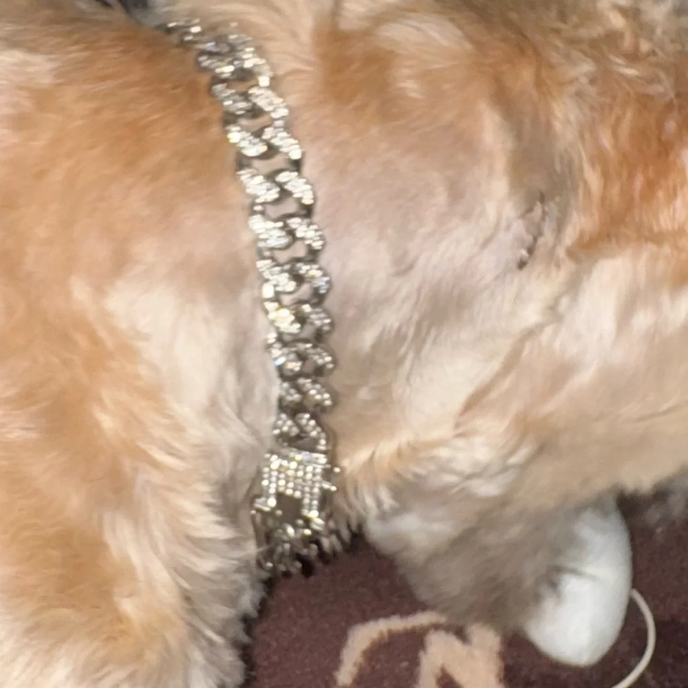 - CUBAN LINK ICED OUT SILVERTONE & ROSE GOLD DOG COLLARS XS 11”